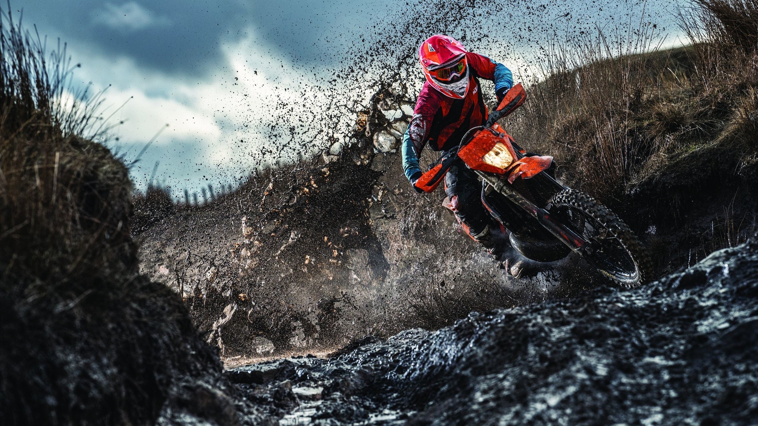 亚洲双星耀世界，逆转奇迹与不败传说