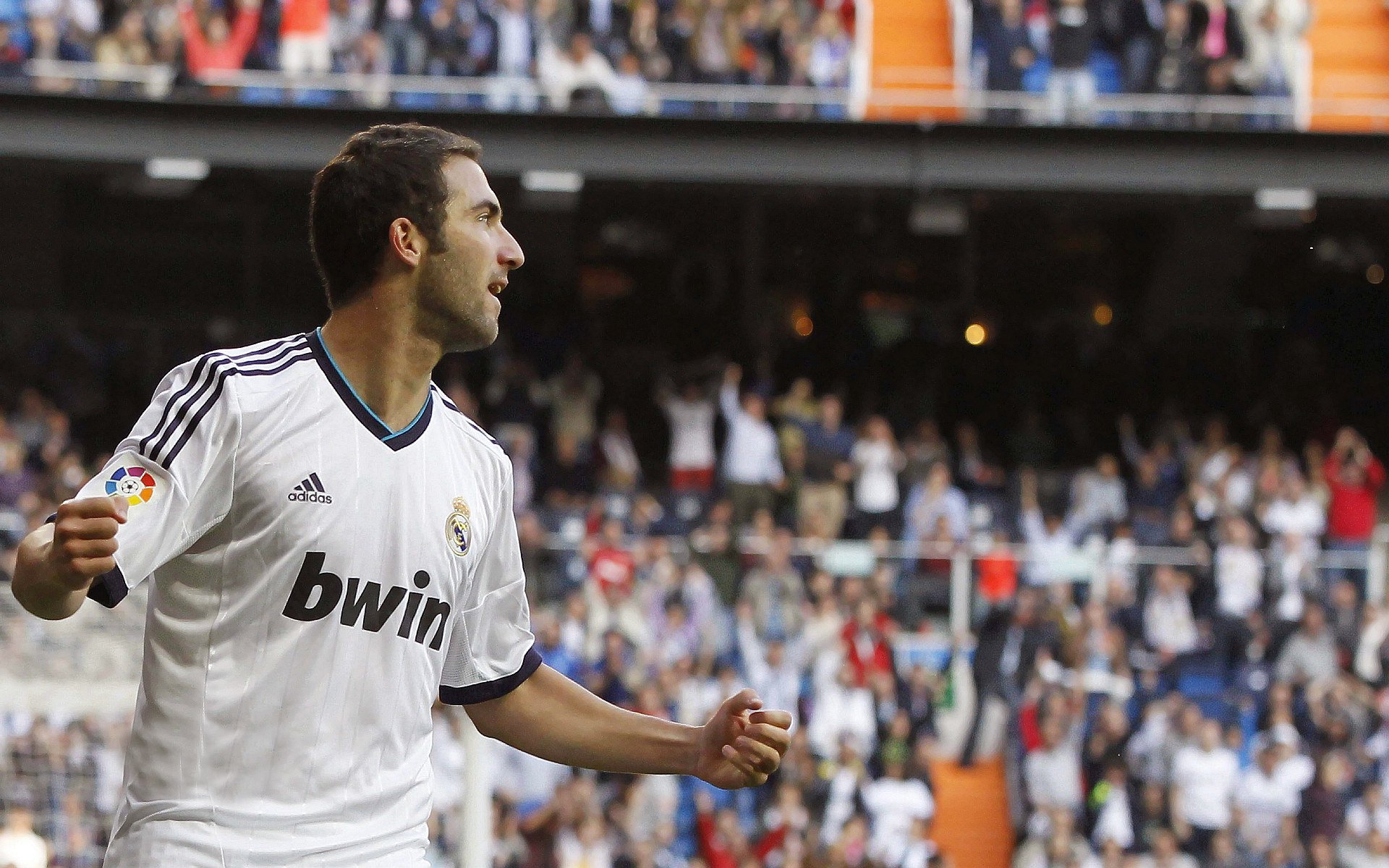 废墟与红龙，当朝圣的德国战车驶过不倒的太极旗